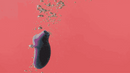 LELO SONA 2 Cruise — close do produto