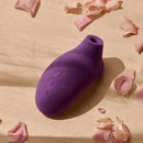 Como usar — LELO SONA 2 Cruise nas mãos
