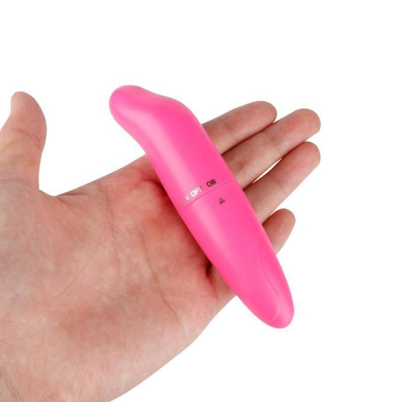 Mini Vibrador Bullet Feminino Golfinho Estimulador de Ponto G - Promo - Libertina Sex Shop - - Sex Shop Vibradores