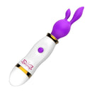 Rabbit Vibrador c/ 2 Pontas Estimulador Feminino - Libertina Sex Shop - mulheres, vibrador - Sex Shop Vibradores